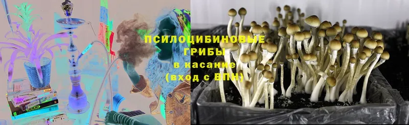 Галлюциногенные грибы GOLDEN TEACHER  мега ссылка  Арзамас 